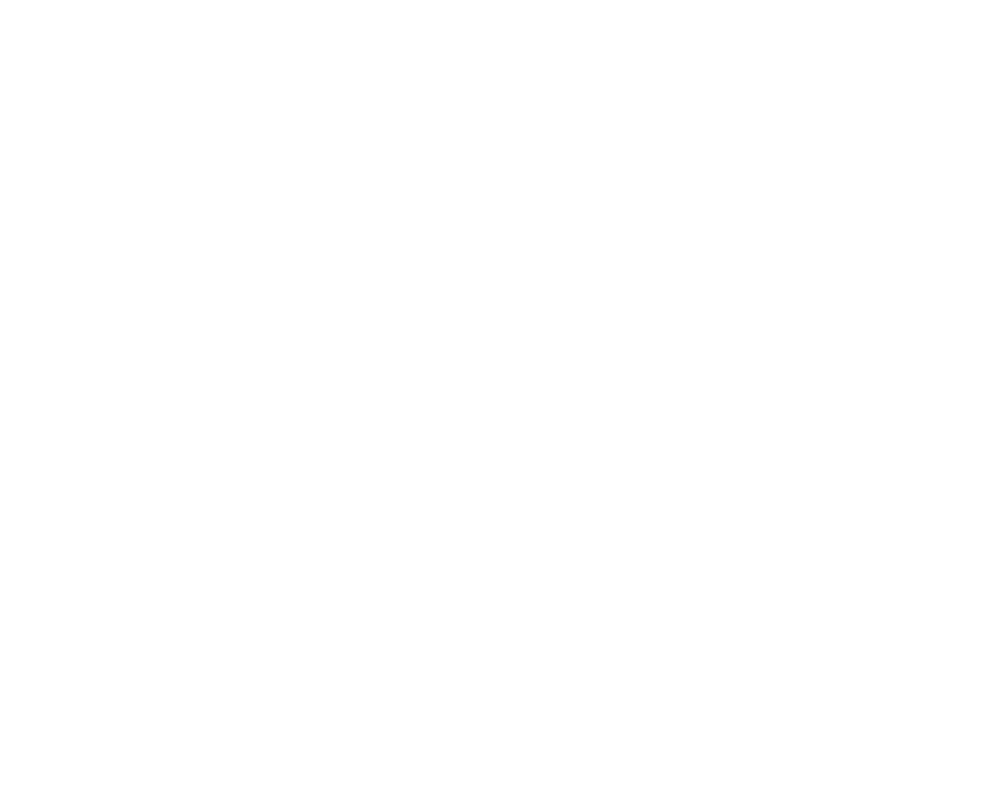texte-page-roman-2018
